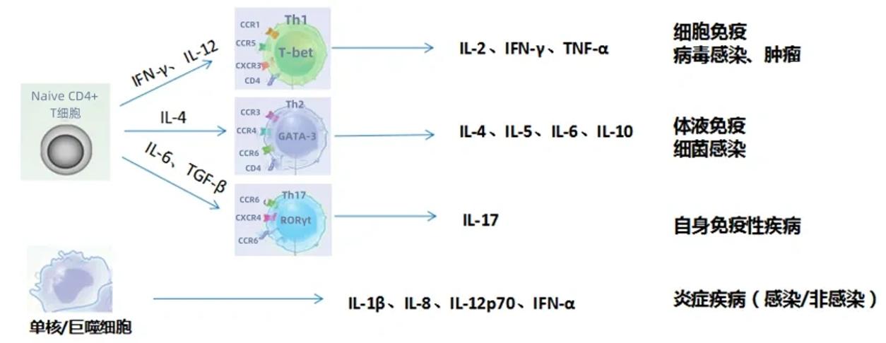 1724287799540770.jpg 1.jpg